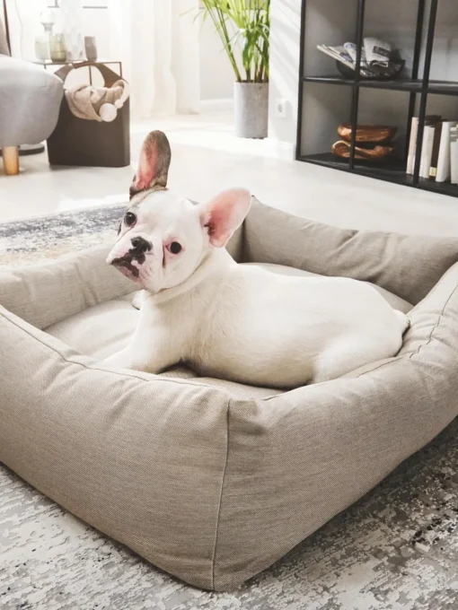 Cuccia Per Cani Da Interno-Esterno Smooth, Varie Misure