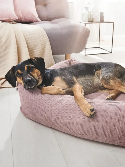 Cuccia Per Cani Tudor, Varie Misure