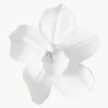 Oggetto Da Parete Orchid, In Varie Misure