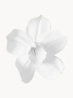 Oggetto Da Parete Orchid, In Varie Misure