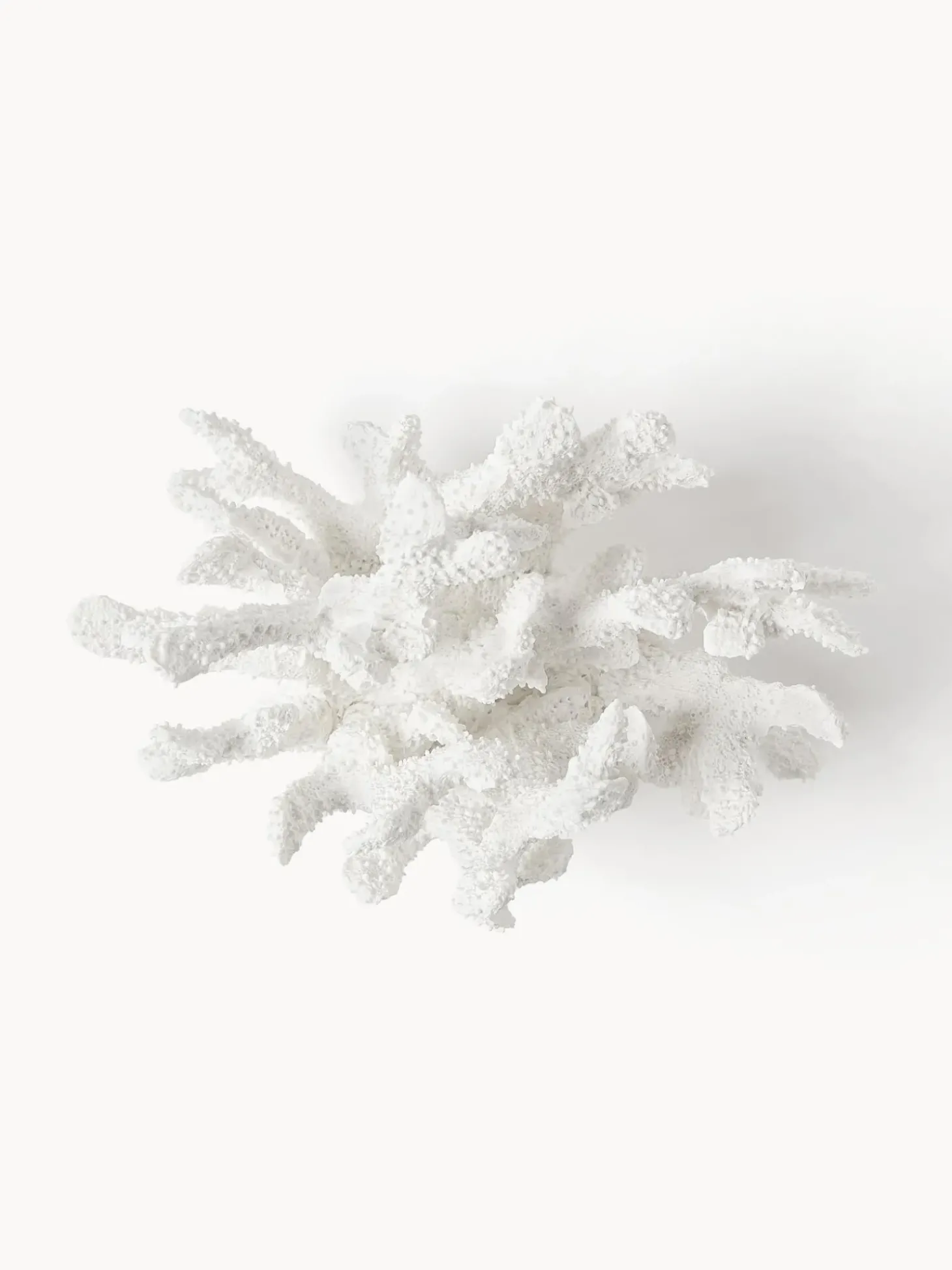 Oggetto Decorativo Di Design Coral