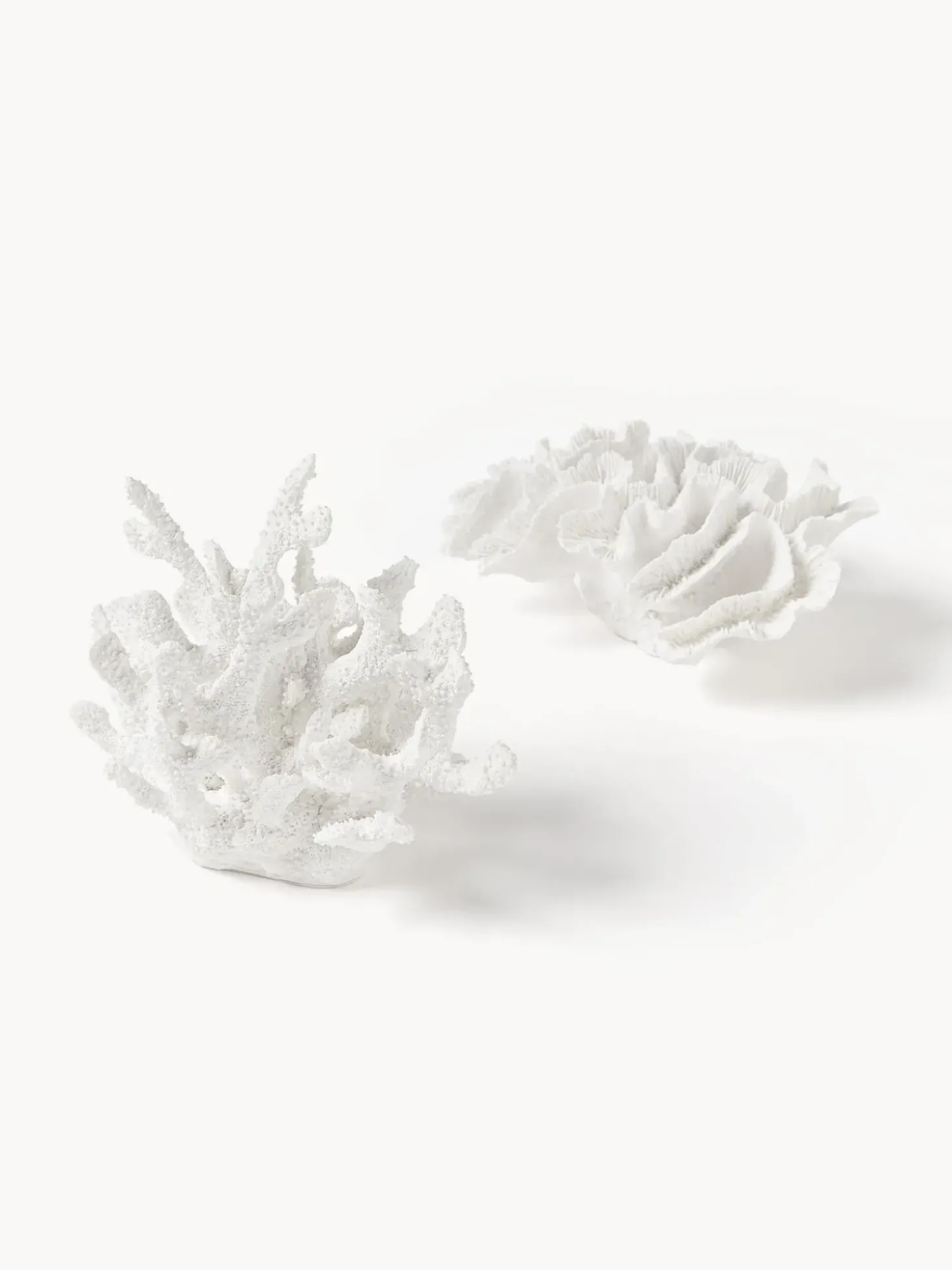 Oggetto Decorativo Di Design Coral