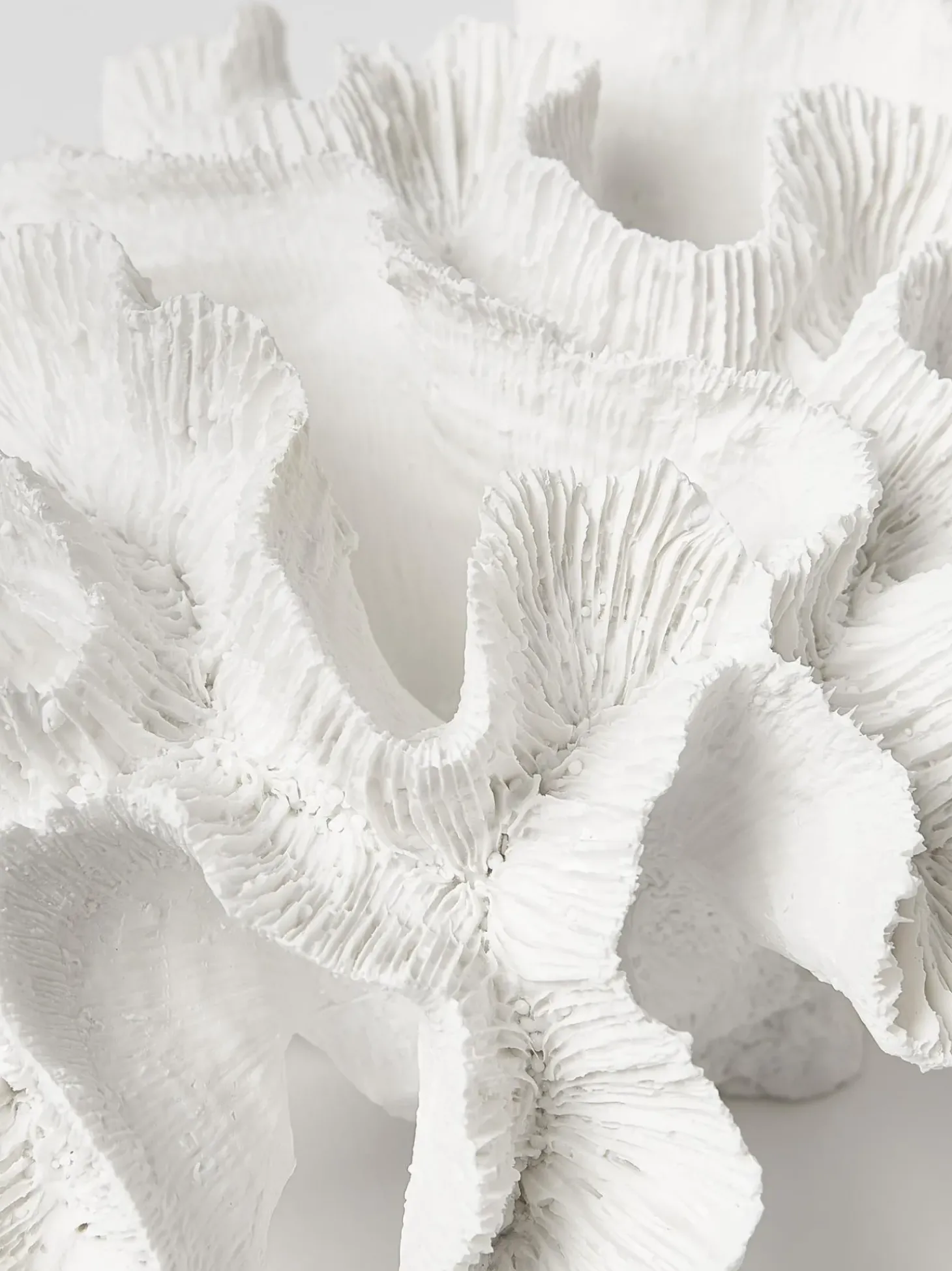 Oggetto Decorativo Di Design Coral