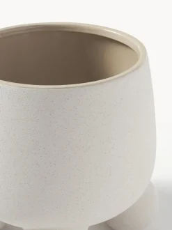 Portavaso Grande Olea