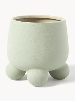 Portavaso Olea