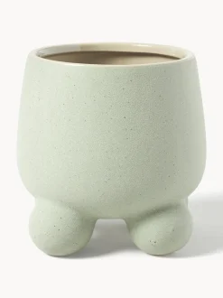 Portavaso Olea