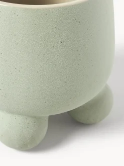 Portavaso Olea