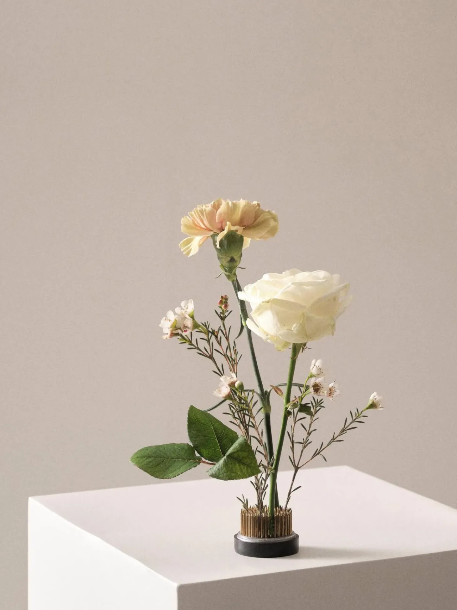 Riccio Per Fiori Fiore, O 5 Cm