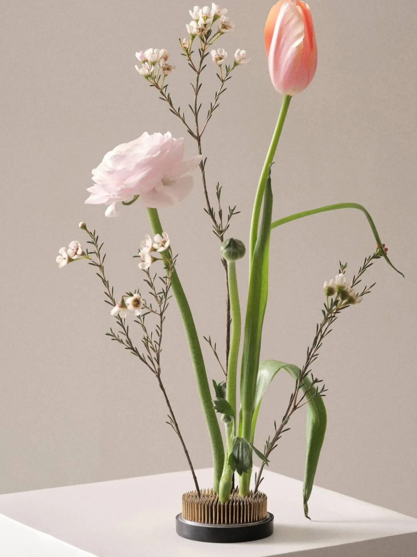 Riccio Per Fiori Fiore, O 8 Cm