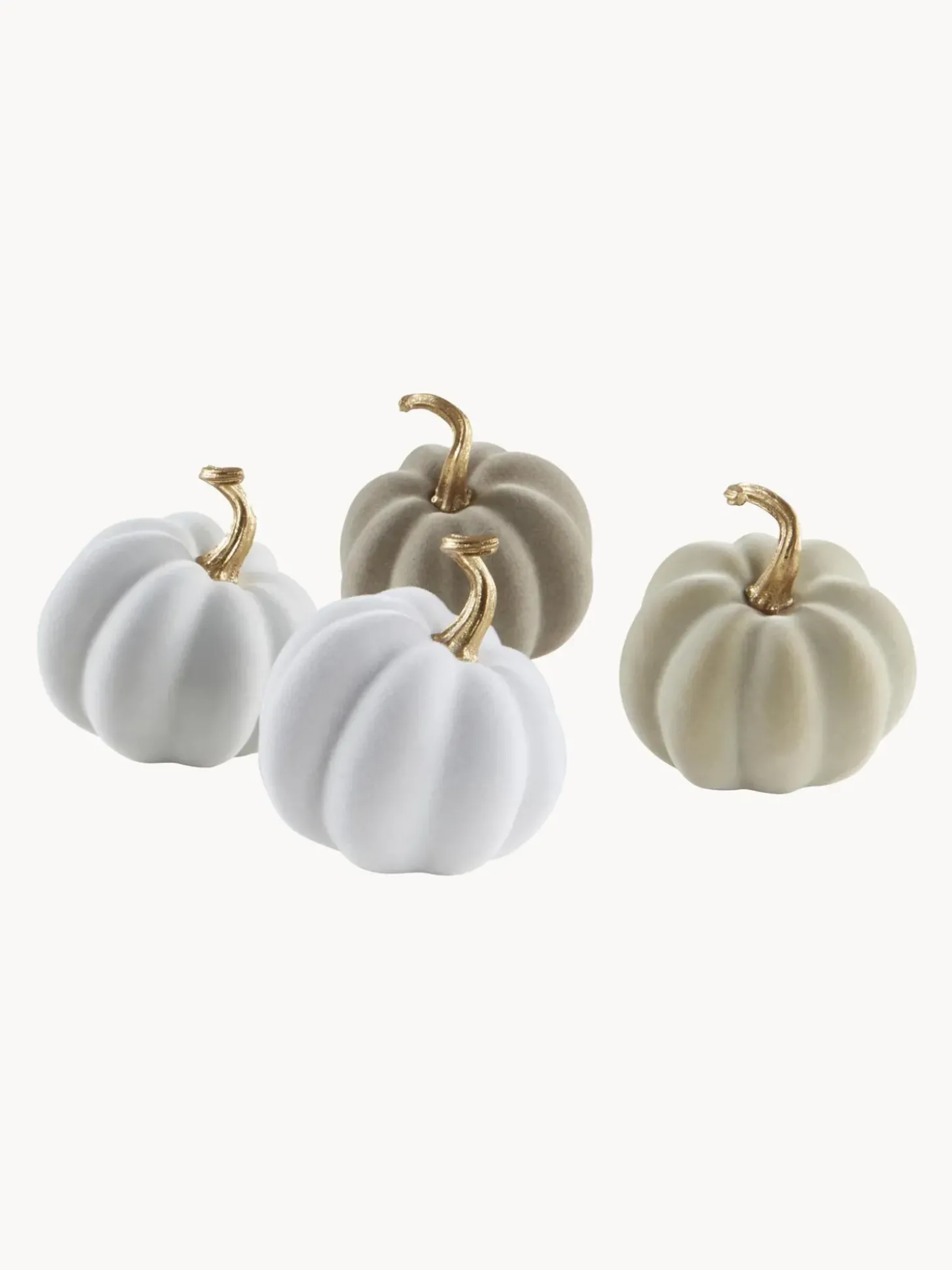 Set 4 Zucche Decorative Mercy