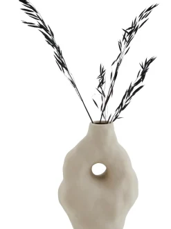 Vaso Organic