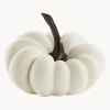 Zucca Decorativa Pepo