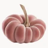 Zucca Decorativa Pepo