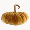 Zucca Decorativa Pumpis
